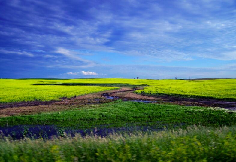 North Dakota